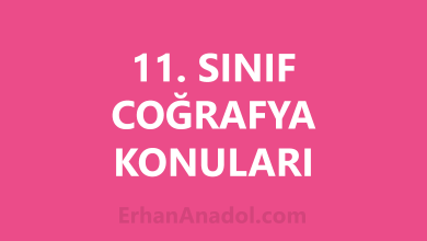11. Sınıf Coğrafya Konuları